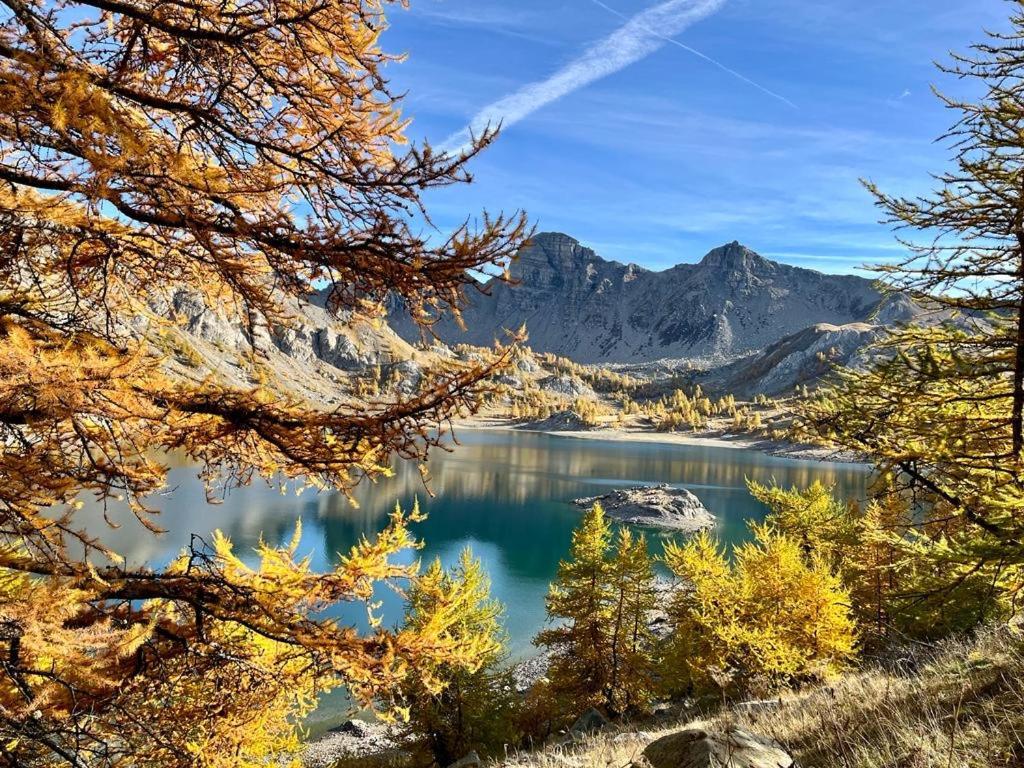 Les Glycines, Charmant Studio Au Calme Dans Batisse De Maitre Proche Du Centre Ville Parking Gratuit Digne-les-Bains Exteriér fotografie