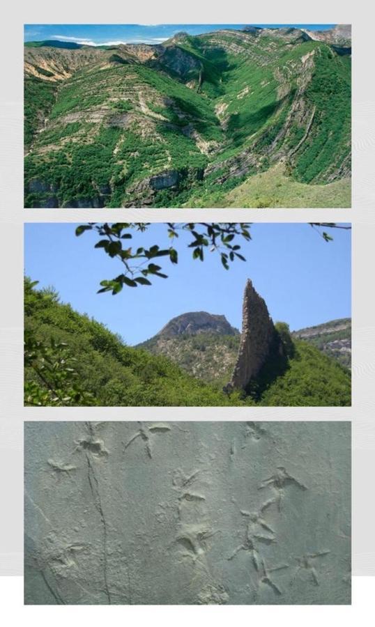 Les Glycines, Charmant Studio Au Calme Dans Batisse De Maitre Proche Du Centre Ville Parking Gratuit Digne-les-Bains Exteriér fotografie