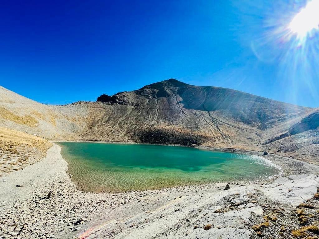 Les Glycines, Charmant Studio Au Calme Dans Batisse De Maitre Proche Du Centre Ville Parking Gratuit Digne-les-Bains Exteriér fotografie