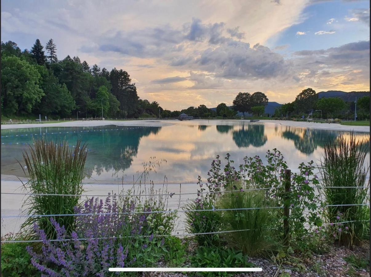 Les Glycines, Charmant Studio Au Calme Dans Batisse De Maitre Proche Du Centre Ville Parking Gratuit Digne-les-Bains Exteriér fotografie